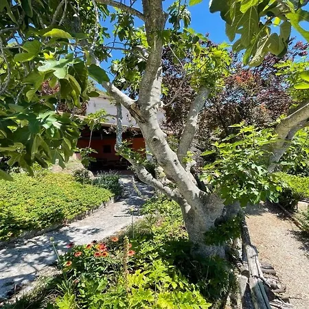Casa vacanze Cerro Cottageslps 8exc Pool Onsitespoleto 9 Kms *