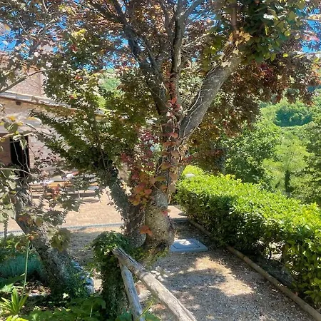 Hébergement de vacances Cerro Cottageslps 8Exc Pool Onsitespoleto 9 Kms Spolète